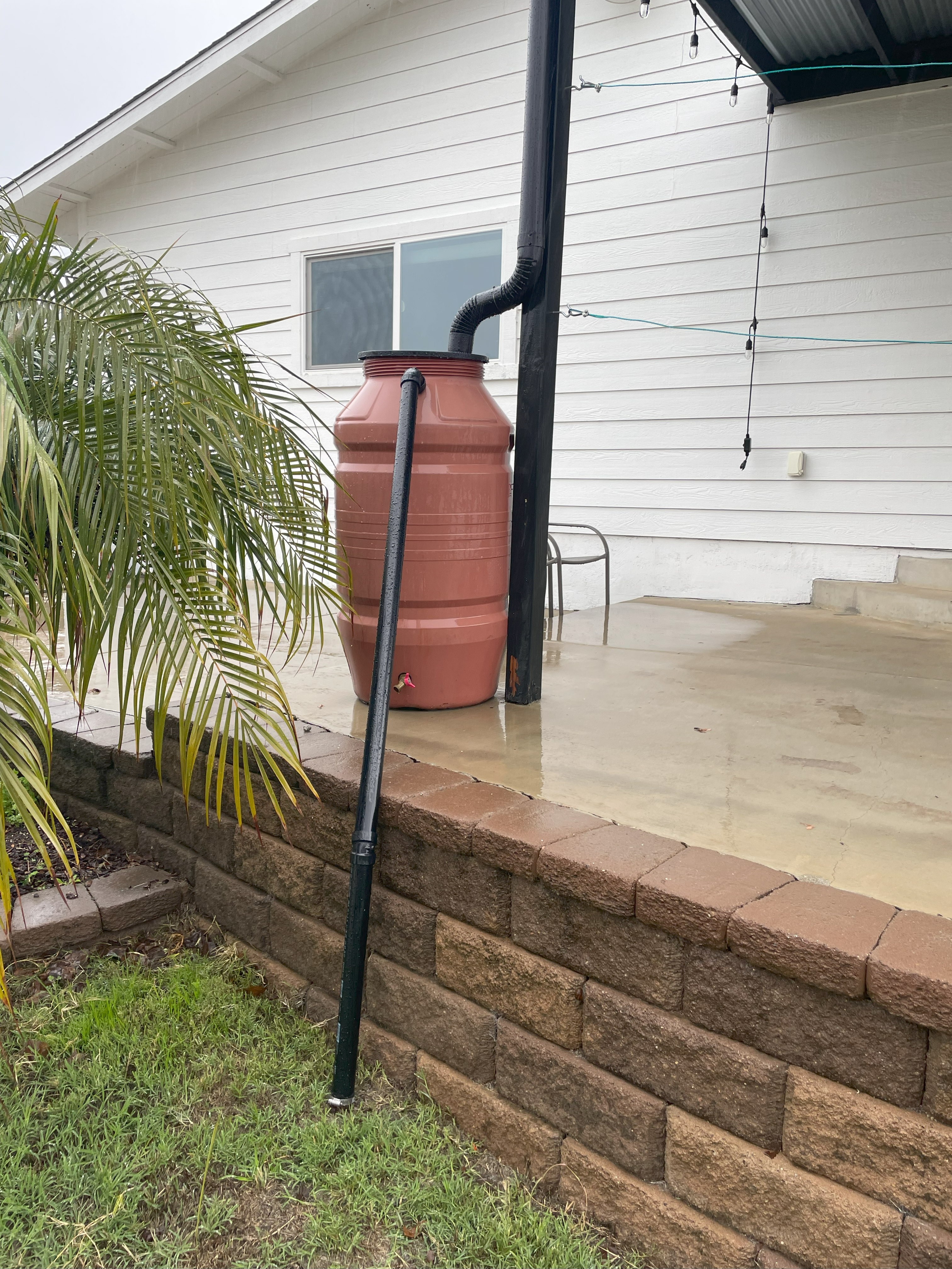 Rain-Saving Container Project in Vista